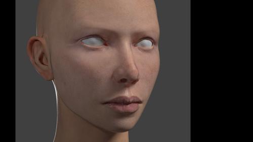 Skin texturing demonstration. preview image